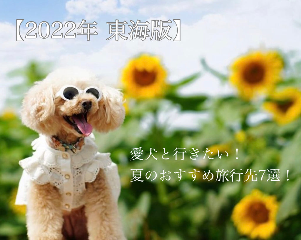 【2022年 東海版】愛犬と行きたい！夏のオススメ旅行先7選！