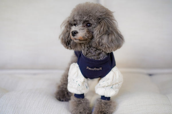 オシャレなペアルックができる犬服（Lune/Navy着用写真1）