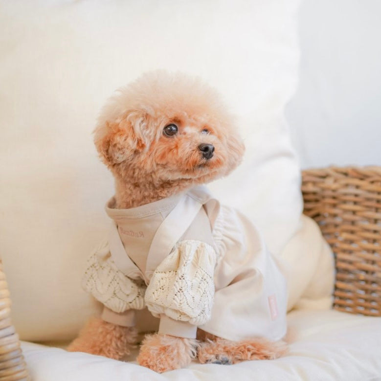 ⭐L3⭐アンティークドール パジャマドッグ ルル犬 LOULOU⭐ジュモー Loulou(ルル)Dog – Ramour