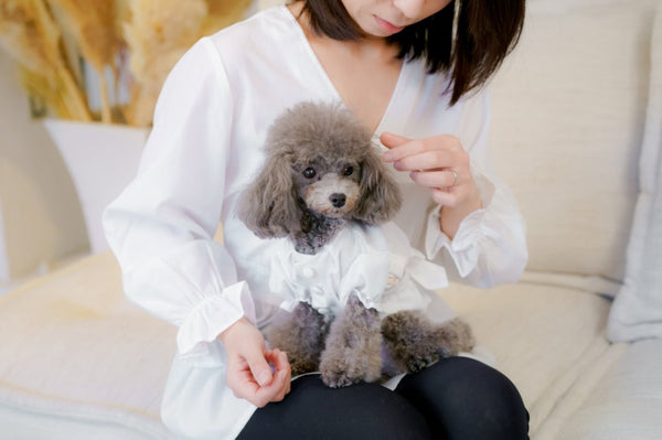 犬服とペアルックができるオーナー服（Amour /White着用写真）